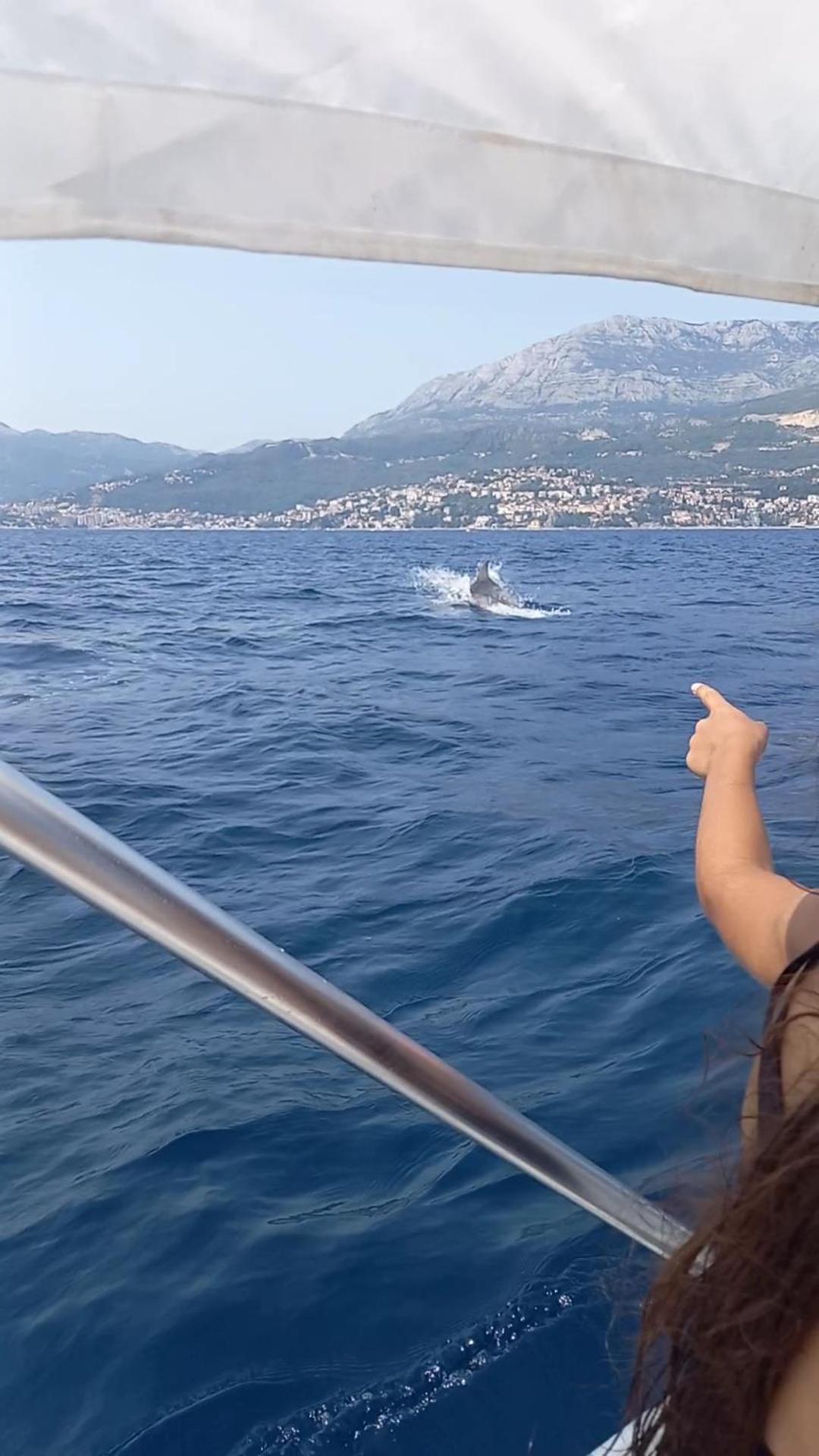 Apartmani Milena Herceg Novi Dış mekan fotoğraf